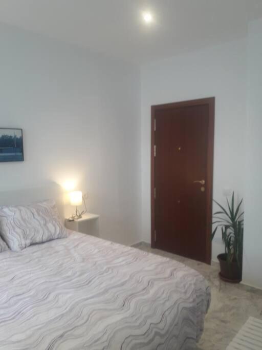 Apartment +++habitacion Y Bano Privado Entrada Independiente